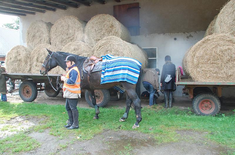 Tagesausritt Oktober 2008055.JPG